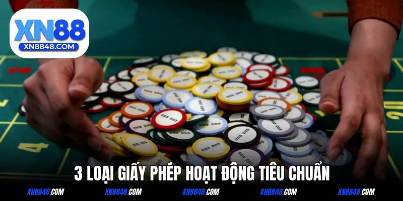 3 loại giấy phép quốc tế đã có tại nền tảng