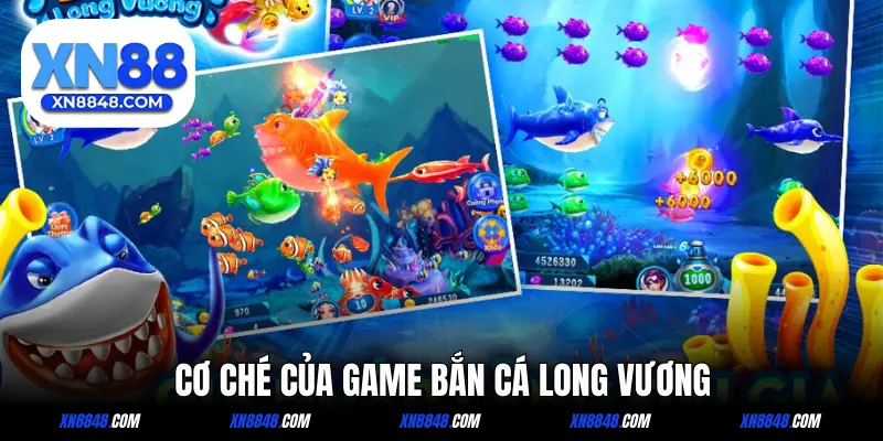 Các cơ chế chnhs trong Long Vương