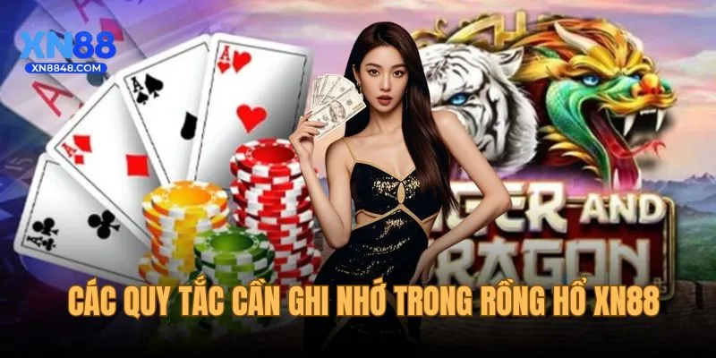 Các quy tắc cần ghi nhớ trong ván cược Rồng Hổ