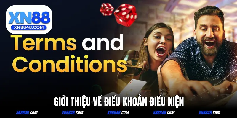 Giới thiệu chính sách điều khoản và điều kiện chính thức