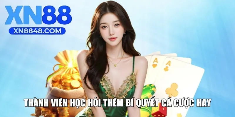 Thành viên học hỏi thêm bí quyết cá cược hay